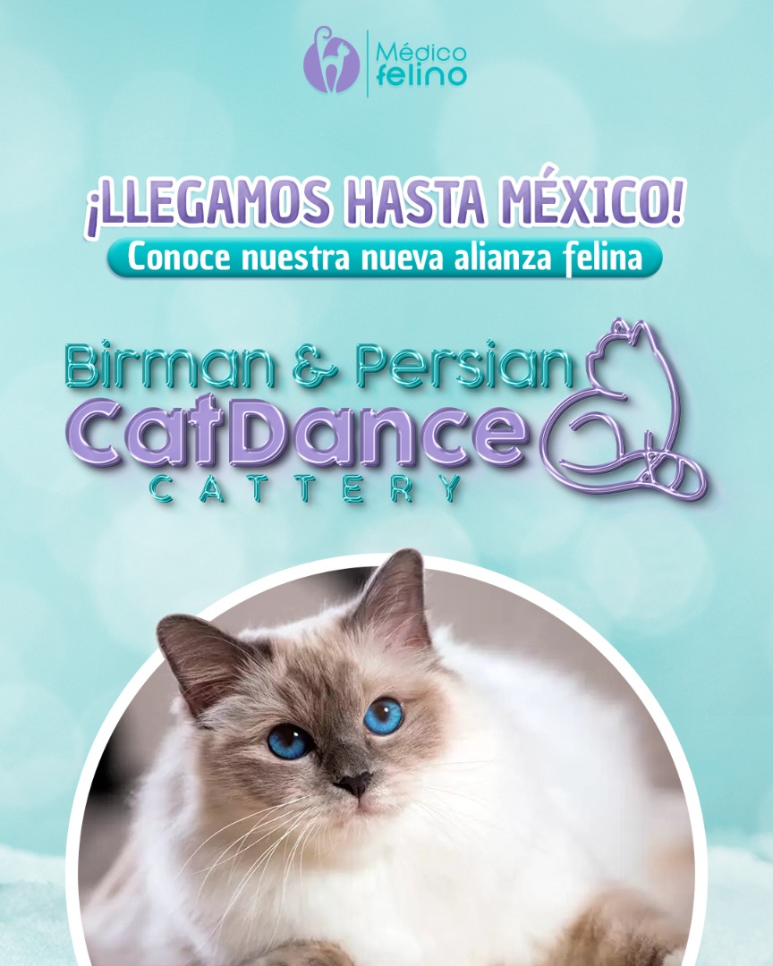 Llegamos hasta México