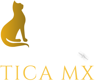 Logo TICA MX