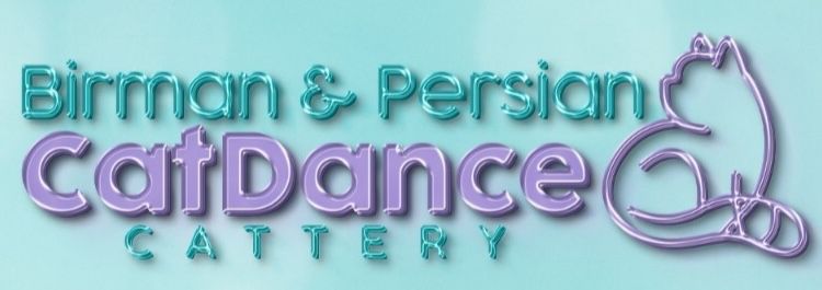 PersianCatDance